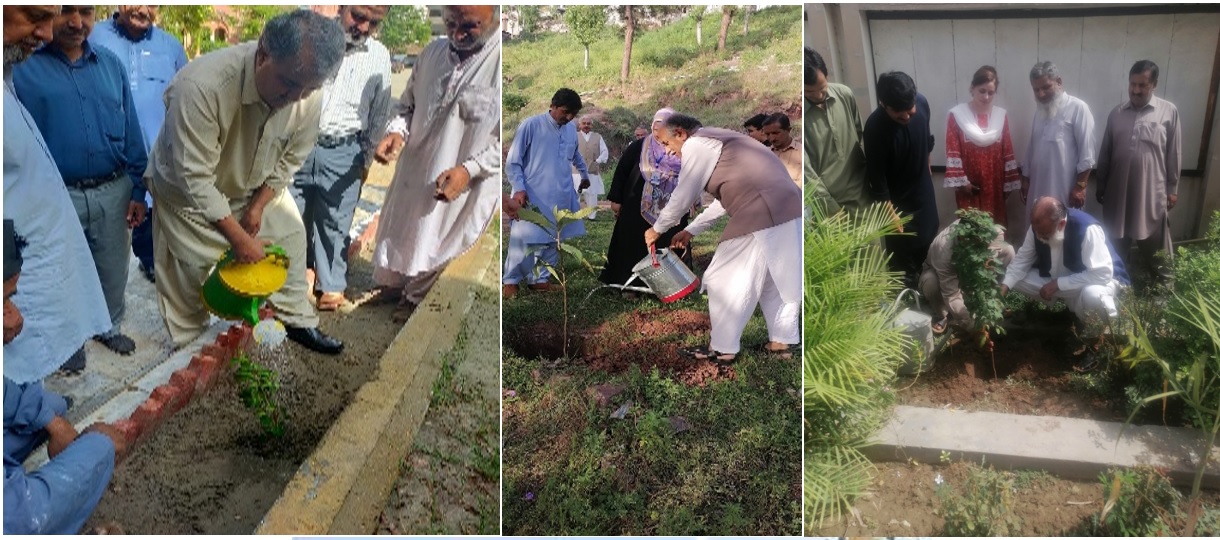 Plant a Tree Program